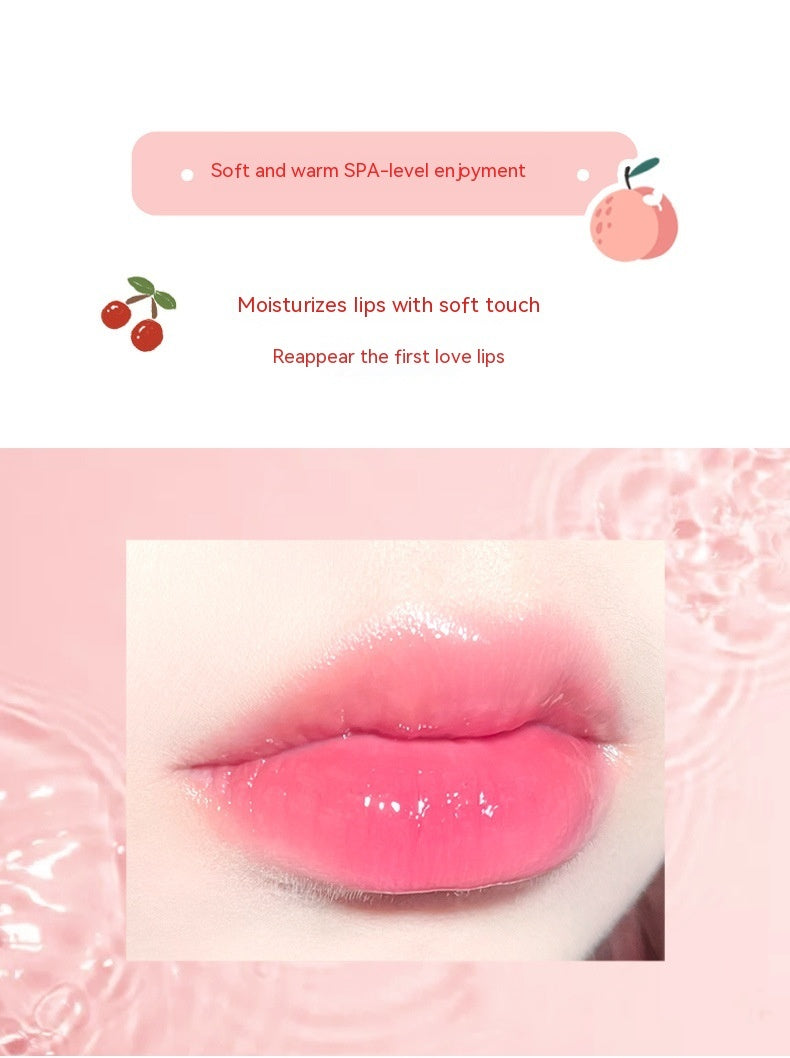 Lip Balm Moisturizer